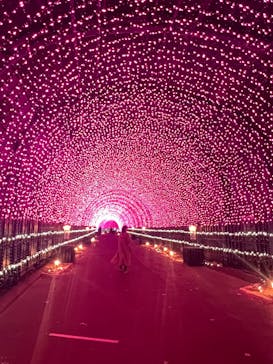 NESTA RESORT KOBE（ネスタリゾート神戸）に投稿された画像（2024/2/24）