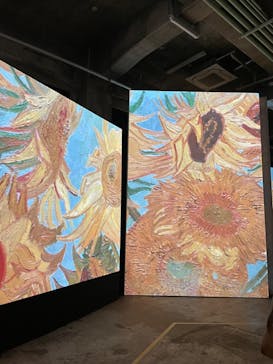 ゴッホ・アライブに投稿された画像（2024/2/24）