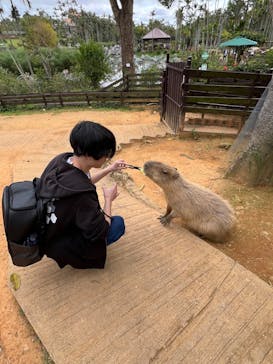 美らヤシパークオキナワ・東南植物楽園に投稿された画像（2024/2/24）