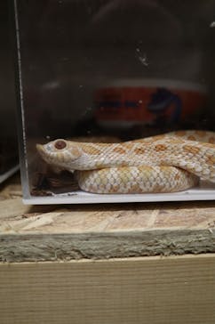 MOON LIGHT GARDENに投稿された画像（2024/2/24）