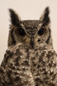 MOON LIGHT GARDENに投稿された画像（2024/2/24）