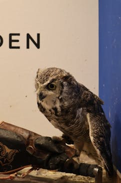 MOON LIGHT GARDENに投稿された画像（2024/2/24）