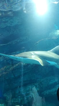 マクセル アクアパーク品川に投稿された画像（2024/2/24）