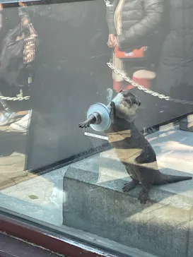 横浜・八景島シーパラダイスに投稿された画像（2024/2/24）