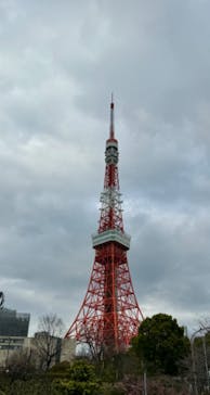 東京タワーに投稿された画像（2024/2/24）