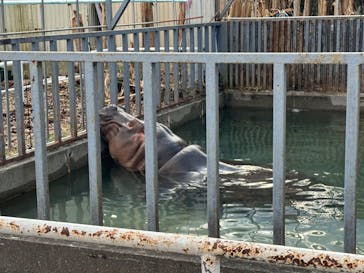 宇都宮動物園に投稿された画像（2024/2/24）