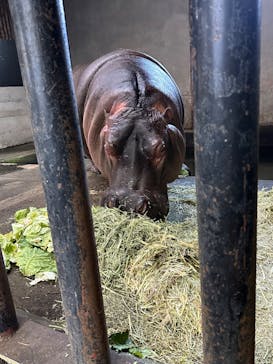 宇都宮動物園に投稿された画像（2024/2/24）