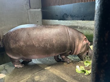 宇都宮動物園に投稿された画像（2024/2/24）