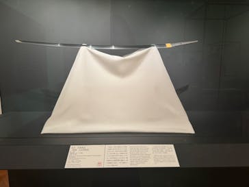 東京国立博物館に投稿された画像（2024/2/24）