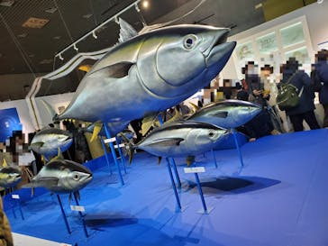 特別展「和食 ～日本の自然、人々の知恵～」に投稿された画像（2024/2/24）