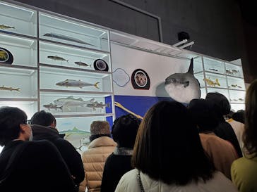 特別展「和食 ～日本の自然、人々の知恵～」に投稿された画像（2024/2/24）