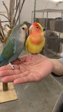 Moff アニマル カフェ イーアス 高尾店に投稿された画像（2024/2/24）