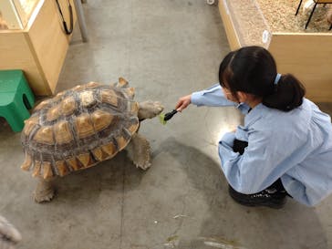 Moff アニマル カフェ イーアス 高尾店に投稿された画像（2024/2/24）