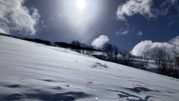 たざわ湖スキー場に投稿された画像（2024/2/24）