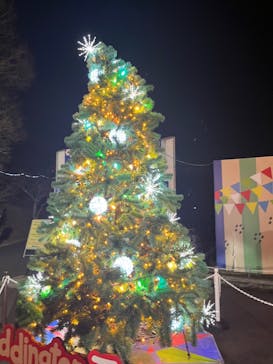 さがみ湖MORI MORIに投稿された画像（2024/2/24）