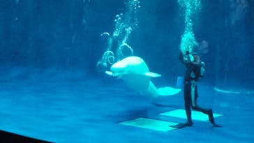 島根県立 しまね海洋館に投稿された画像（2024/2/24）