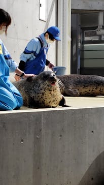 島根県立 しまね海洋館に投稿された画像（2024/2/24）