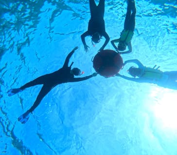 宮古島 ADVENTURE PiPi（ミヤコジマ アドベンチャー ピピ）に投稿された画像（2024/2/24）