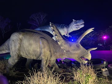 伊豆ぐらんぱる公園に投稿された画像（2024/2/24）