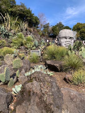 伊豆シャボテン動物公園に投稿された画像（2024/2/24）