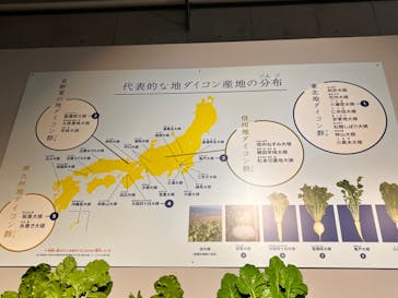 特別展「和食 ～日本の自然、人々の知恵～」に投稿された画像（2024/2/24）
