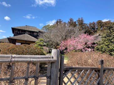 偕楽園本園に投稿された画像（2024/2/24）