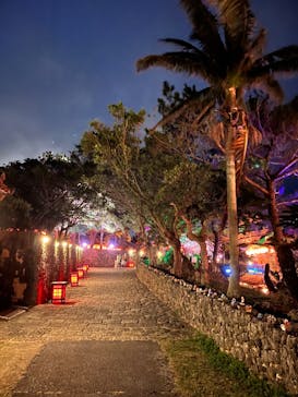 体験王国 むら咲むらに投稿された画像（2024/2/25）