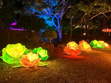 体験王国 むら咲むらに投稿された画像（2024/2/25）