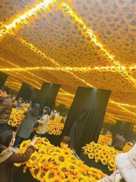 ゴッホ・アライブに投稿された画像（2024/2/25）