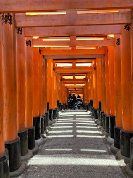 京阪電車に投稿された画像（2024/2/25）