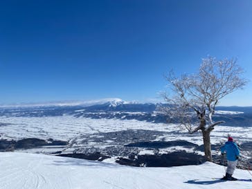 富良野スキー場に投稿された画像（2024/2/25）