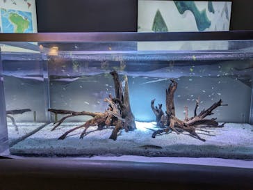 カワスイ 川崎⽔族館に投稿された画像（2024/2/25）