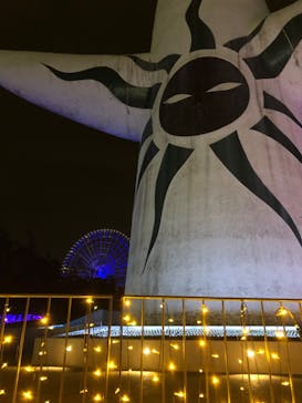 万博記念公園に投稿された画像（2024/2/25）