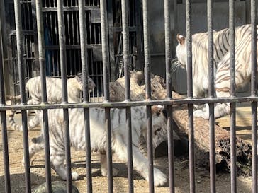 宇都宮動物園に投稿された画像（2024/2/25）