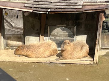 宇都宮動物園に投稿された画像（2024/2/25）