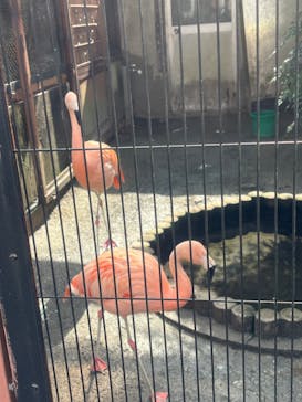 宇都宮動物園に投稿された画像（2024/2/25）