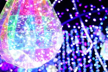 修善寺虹の郷に投稿された画像（2024/2/25）