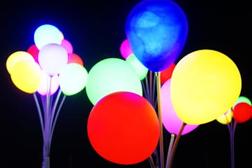 修善寺虹の郷に投稿された画像（2024/2/25）