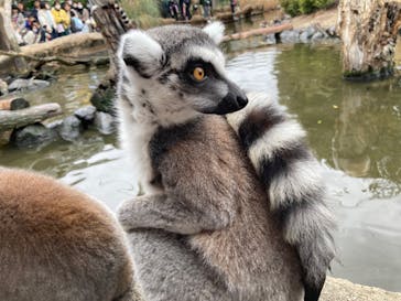 神戸どうぶつ王国に投稿された画像（2024/2/25）