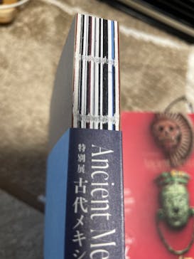 特別展「古代メキシコ ーマヤ、アステカ、テオティワカン」に投稿された画像（2024/2/25）