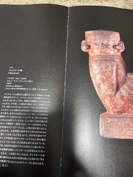 特別展「古代メキシコ ーマヤ、アステカ、テオティワカン」に投稿された画像（2024/2/25）