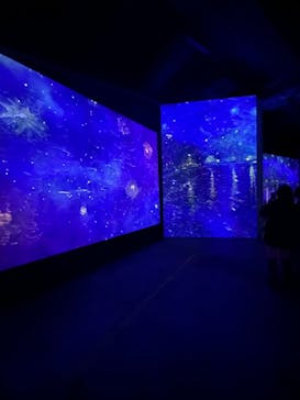 ゴッホ・アライブに投稿された画像（2024/2/25）