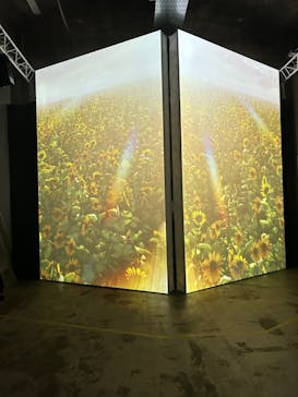 ゴッホ・アライブに投稿された画像（2024/2/25）