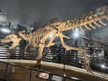 福井県立恐竜博物館に投稿された画像（2024/2/25）