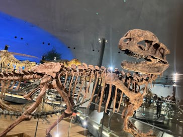 福井県立恐竜博物館に投稿された画像（2024/2/25）