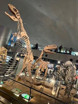 福井県立恐竜博物館に投稿された画像（2024/2/25）
