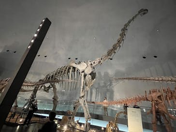 福井県立恐竜博物館に投稿された画像（2024/2/25）