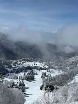 YAMABOKUワイルドスノーパークに投稿された画像（2024/2/25）