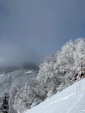 YAMABOKUワイルドスノーパークに投稿された画像（2024/2/25）