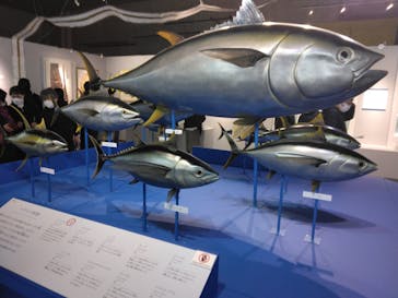 特別展「和食 ～日本の自然、人々の知恵～」に投稿された画像（2024/2/25）